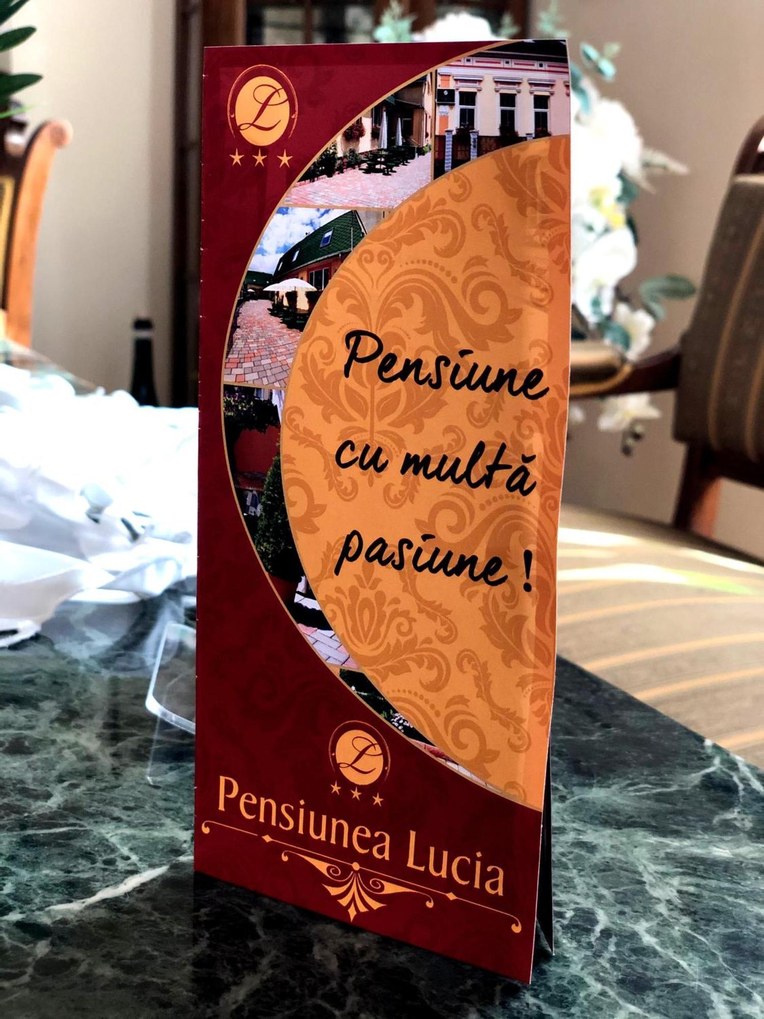 Pensiunea Lucia Sfântu-Gheorghe Eksteriør bilde